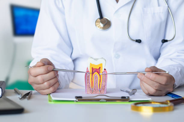Best Emergency Denture Repair in Pleasanton, KS